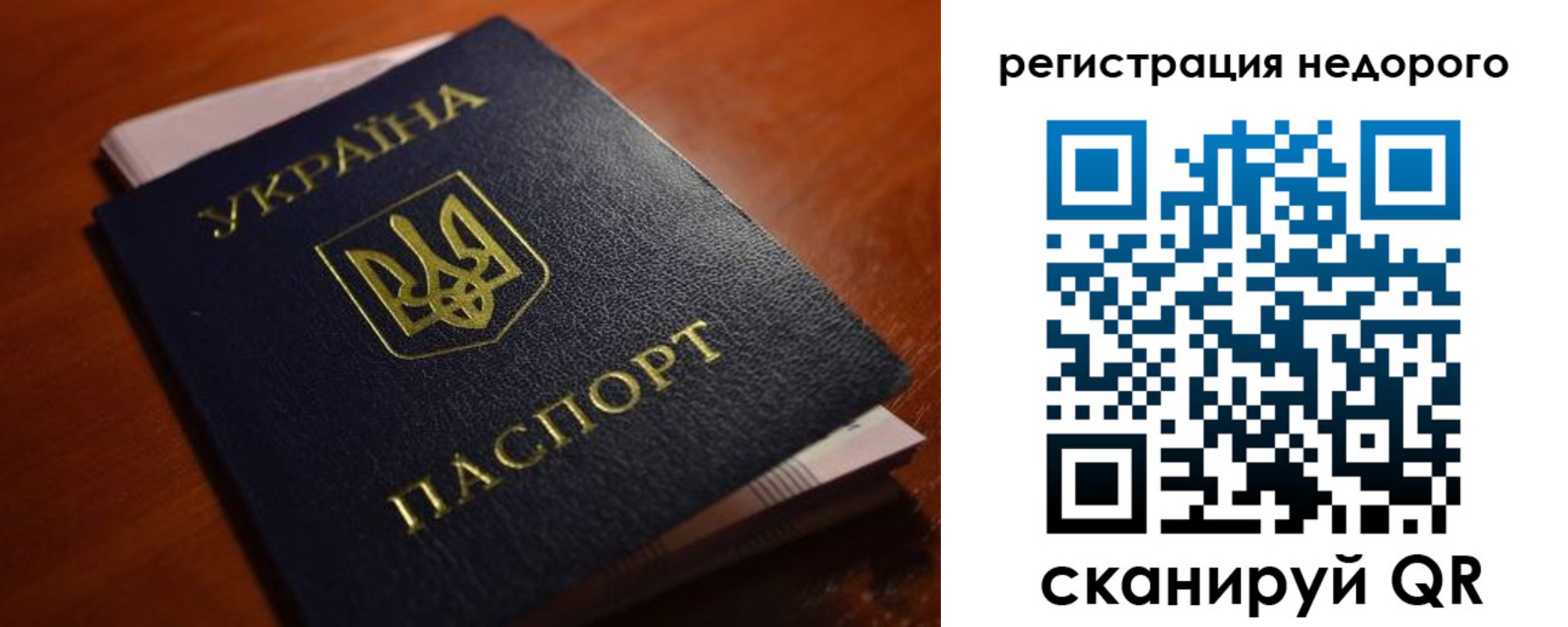 где прописаться в Мурино